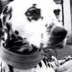 Meet your Posher, Sergio